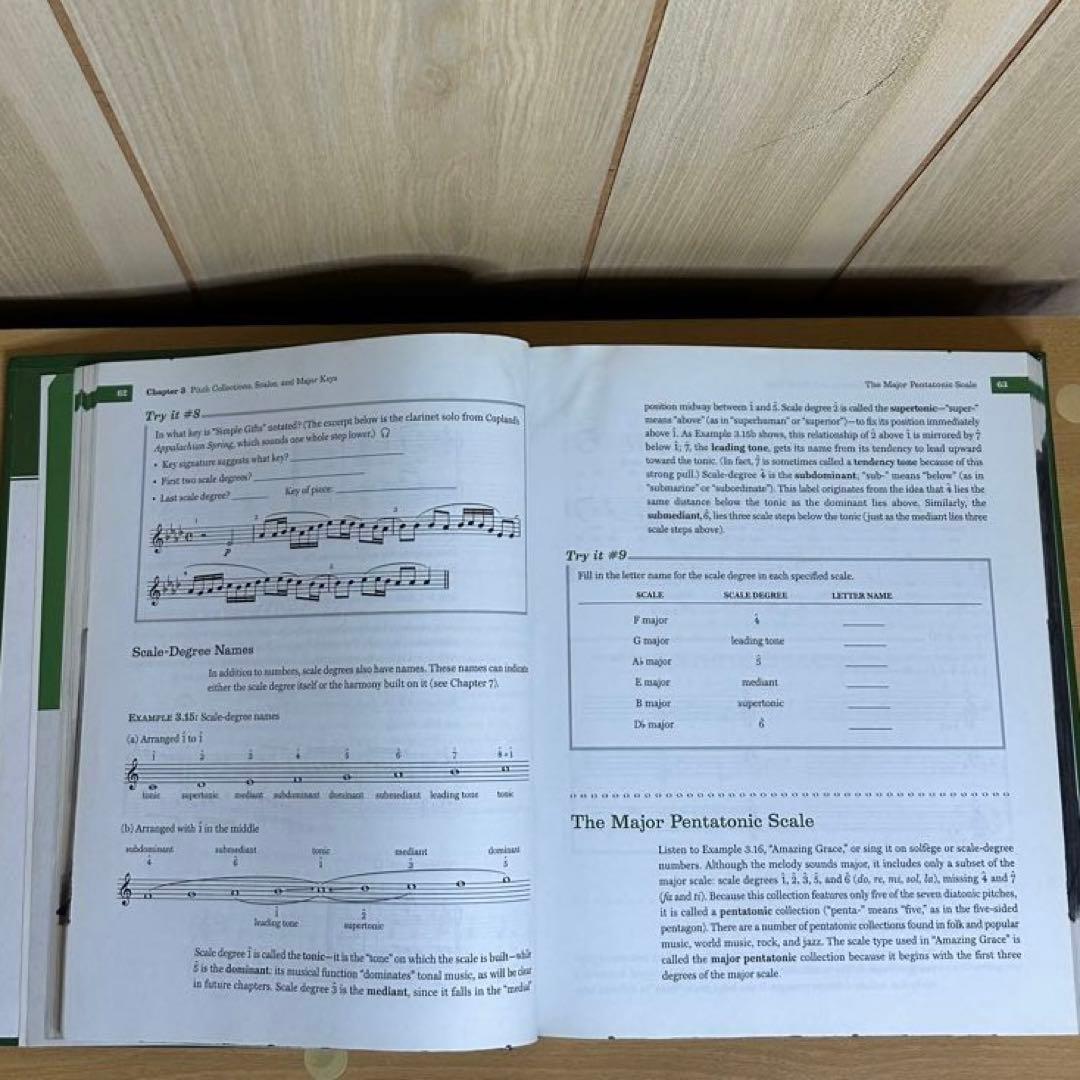 Theory and Analysis 音楽理論 古本 洋書