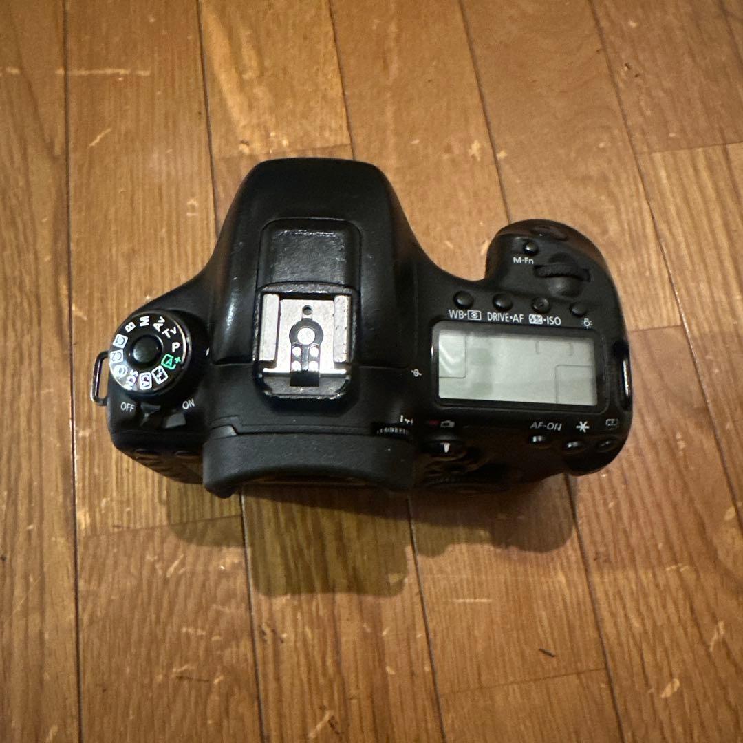 Canon EOS 7D MarkⅡ / Canon EF 35-80mm