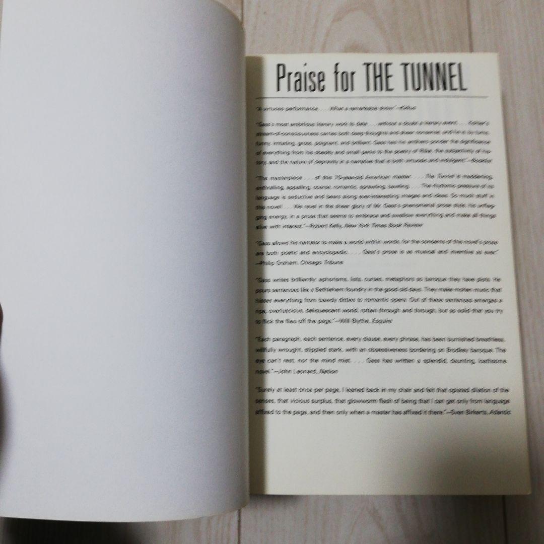 ウィリアム・H・ギャス THE TUNNEL　トンネル