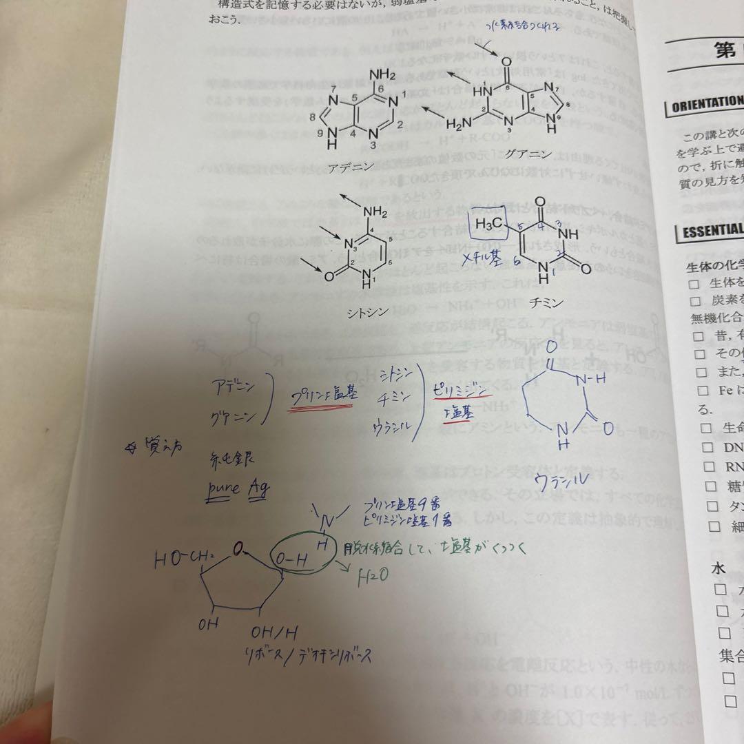 2024年度 河合塾kals 医学部学士編入 基礎、完成、実戦フルセット
