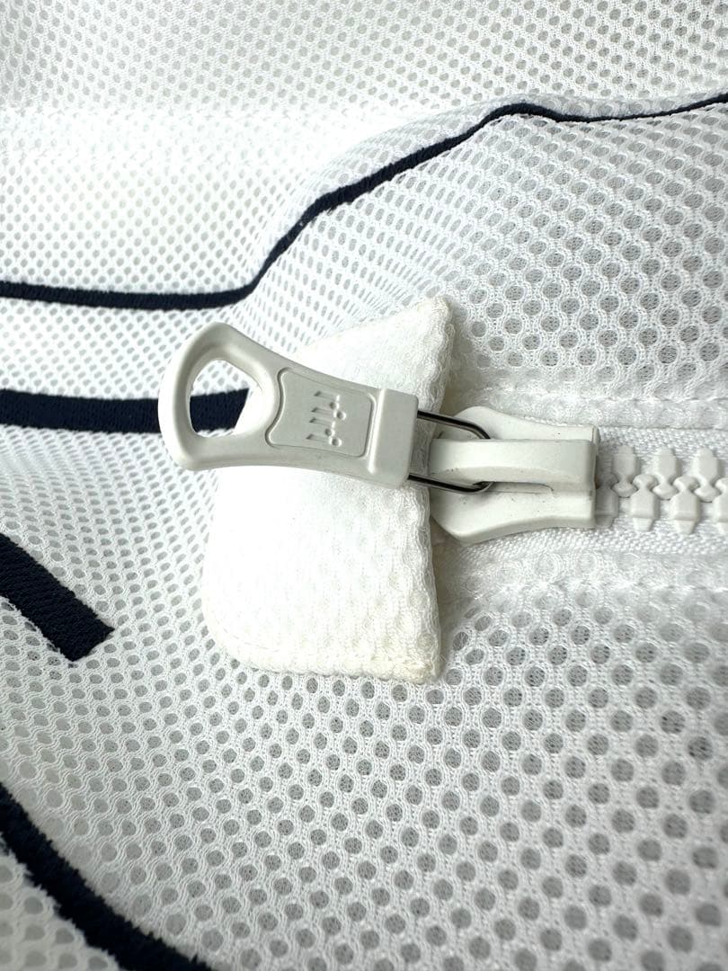 DIOR TECHNOGYM バランスボール
