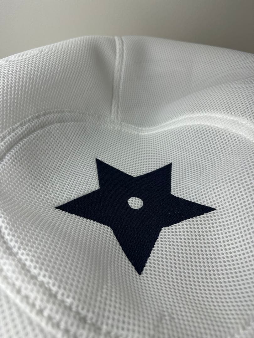 DIOR TECHNOGYM バランスボール