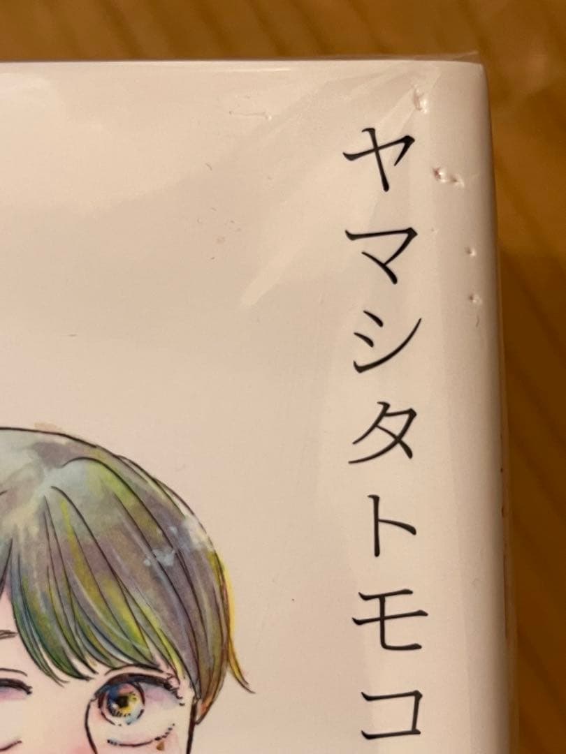 異国日記　1〜11巻　全巻セット