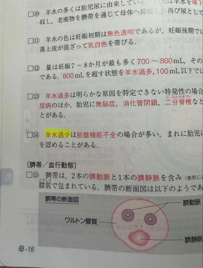 看護師国家試験 2025 2冊セット 115回看護師国家試験