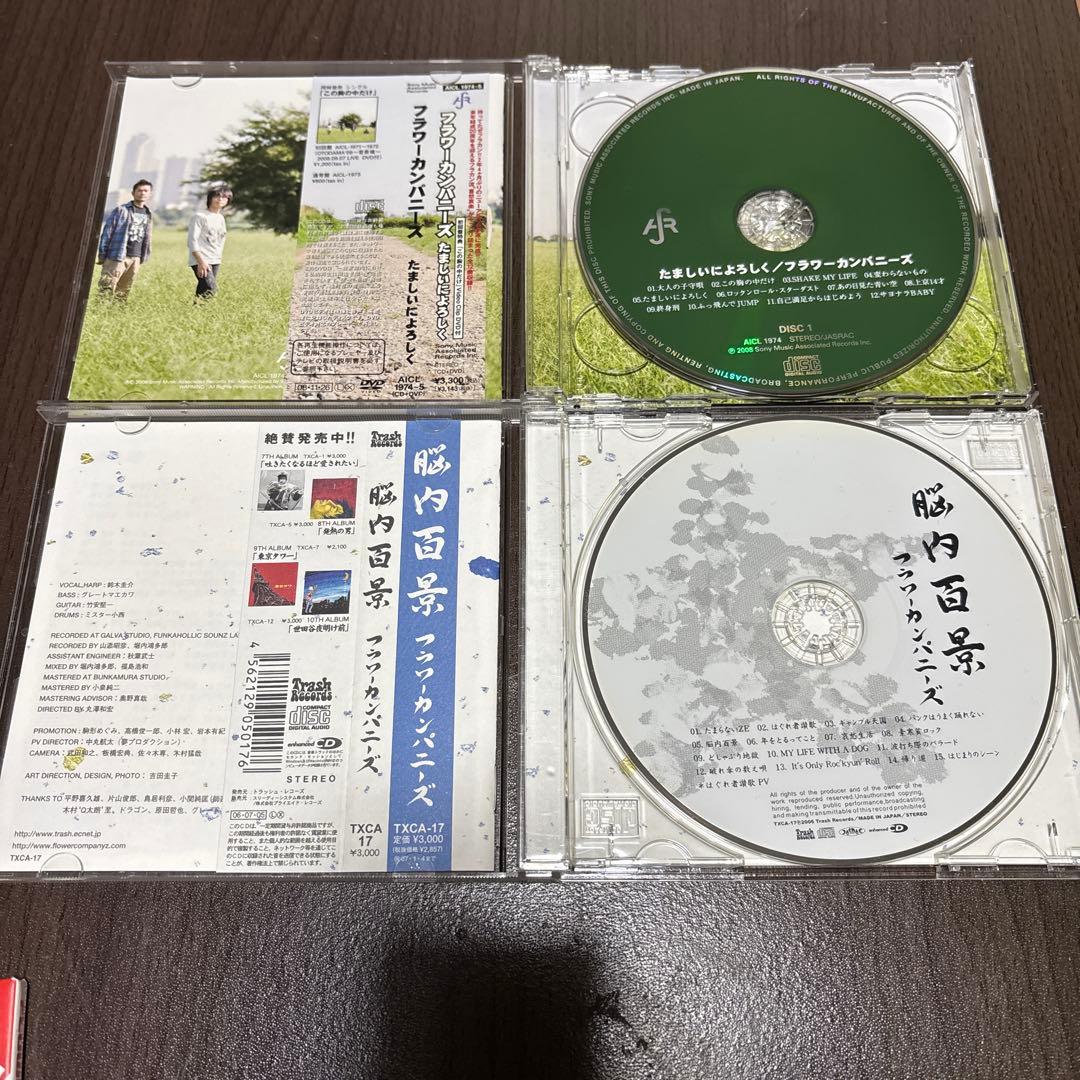 フラワーカンパニーズ　アルバムCDセット　まとめ売り　深夜高速
