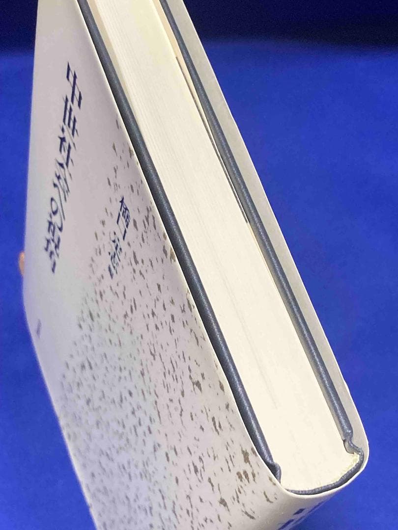 中世社会への視角◆橋口定志、高志書院、2013年/Y599