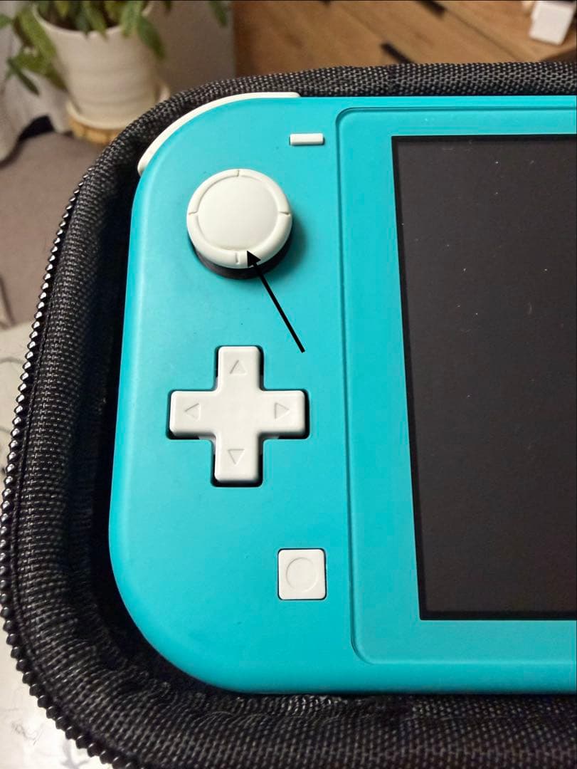 Nintendo Switch Lite 本体　ターコイズ　箱、充電器、ケース