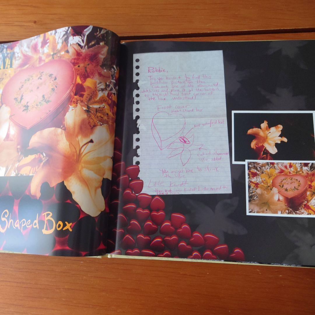 s*p様 【美品】NIRVANA IN UTERO 20TH ANNIVERSA
