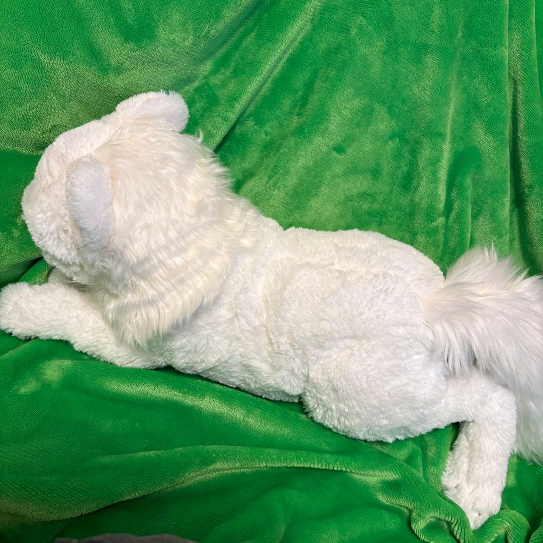 サンレモン　ひざホッキョクオオカミ　ぬいぐるみ