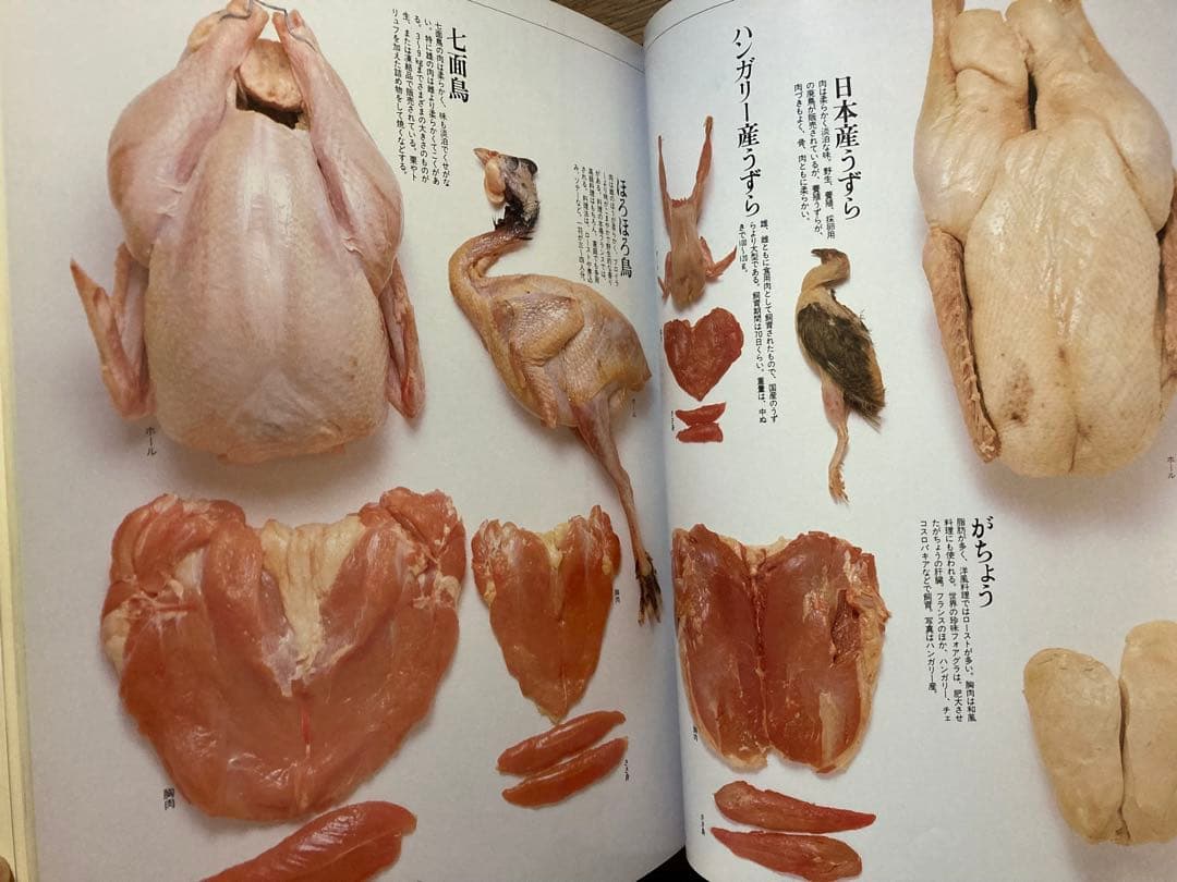 味公爵 全18巻セット