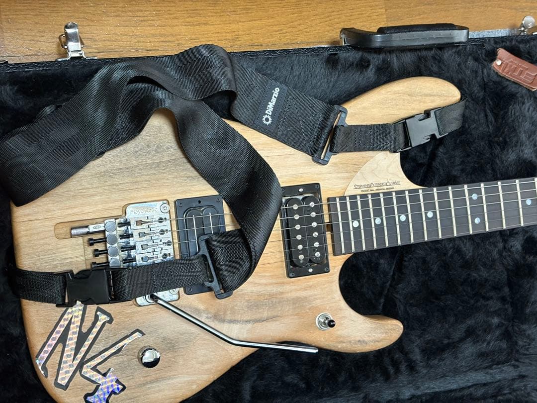 極美品 Washburn N4 Authentic ClipLock付