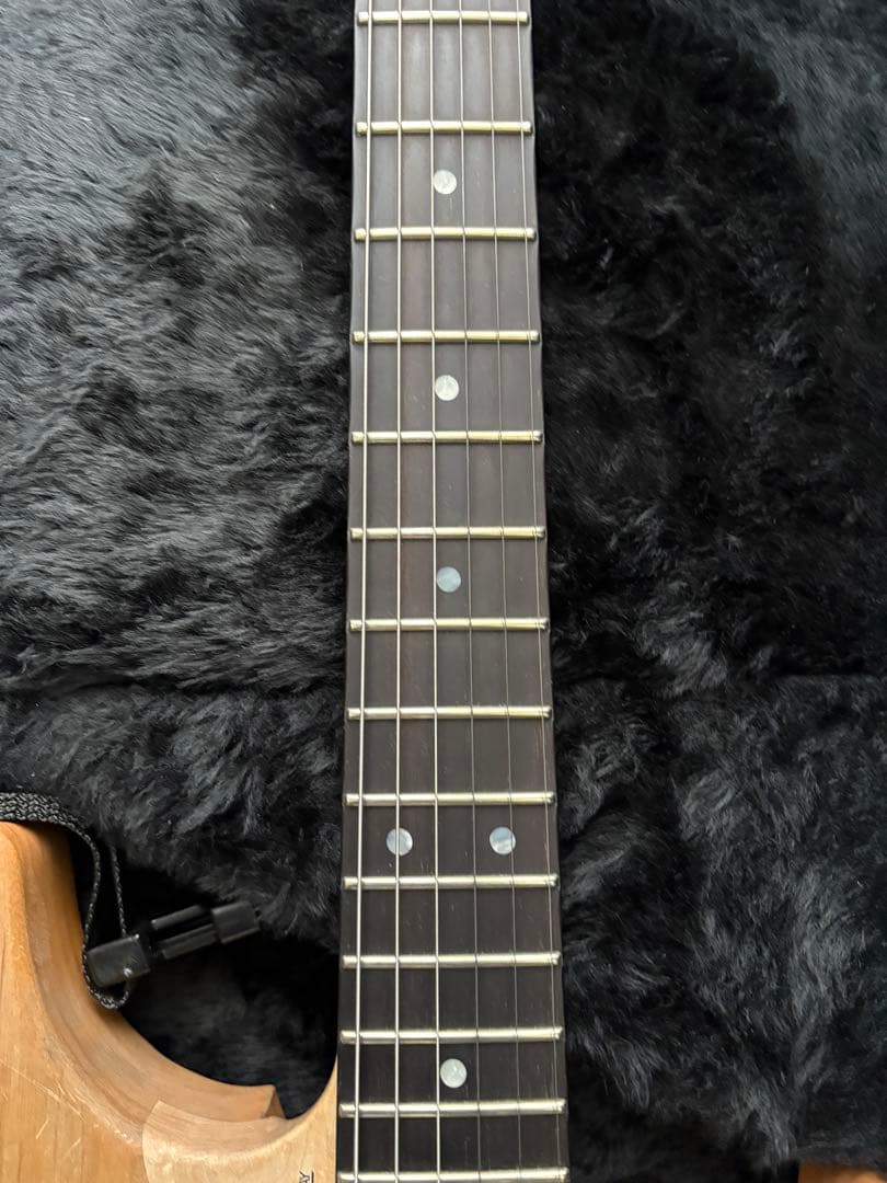 極美品 Washburn N4 Authentic ClipLock付