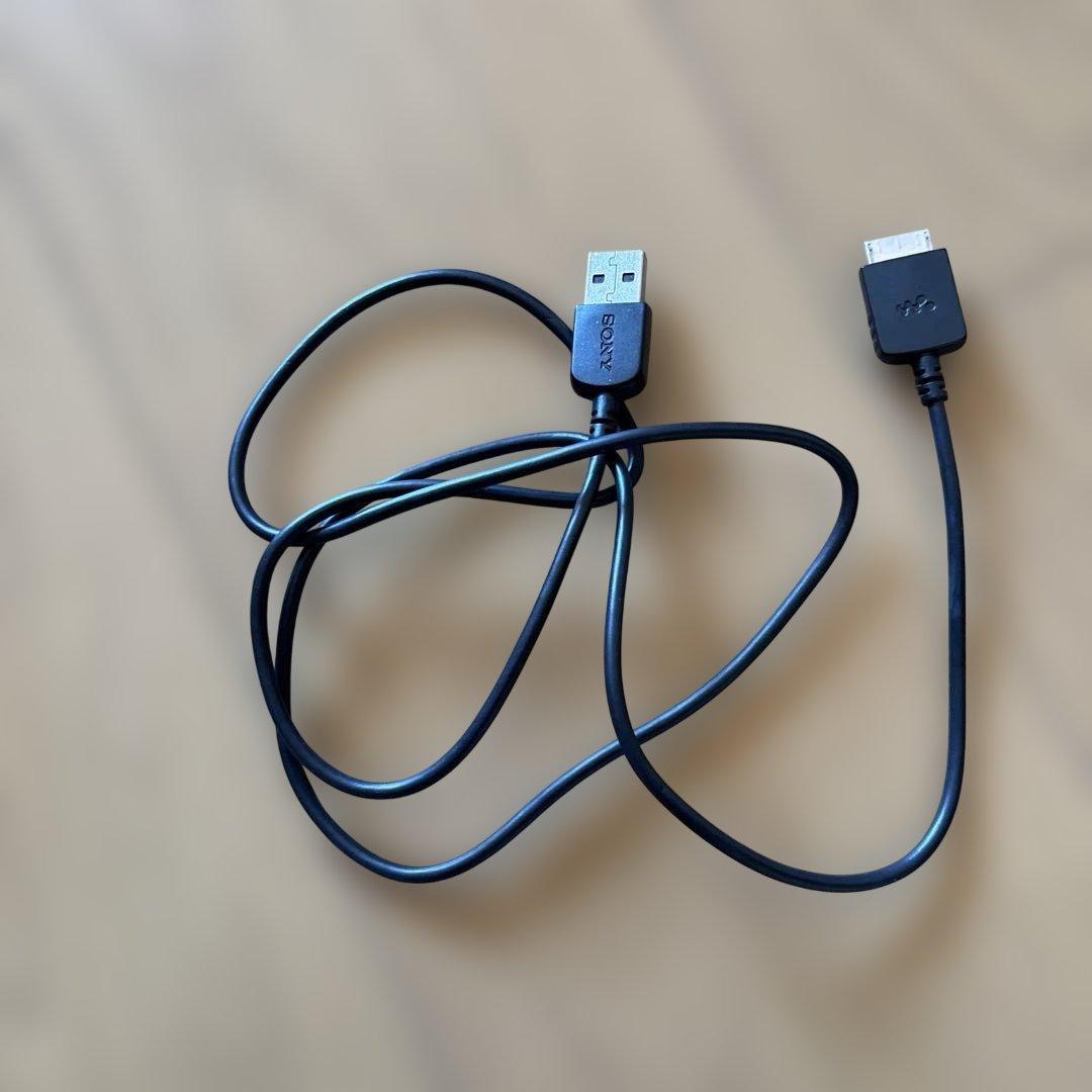 SONY NW-A25 レッド デジタルオーディオプレーヤー