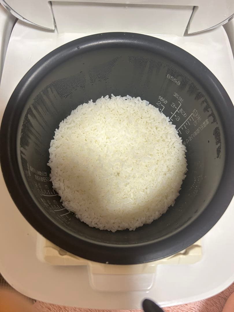 象印 ZOJIRUSHI 圧力IH NW-JU10 炊飯器 5.5合