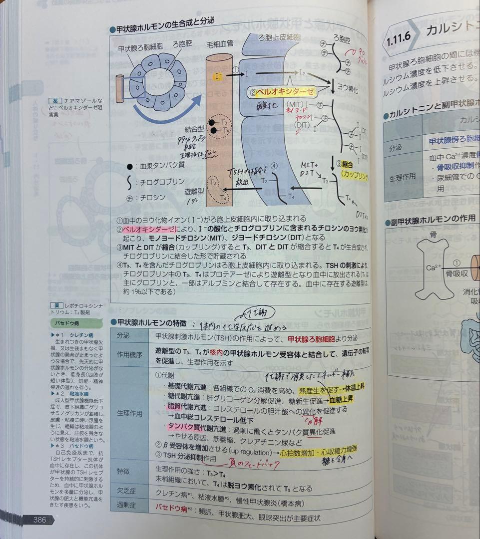 第108回国家試験対策薬剤師国家試験対策参考書（改訂12版）　青本＋青問　全巻