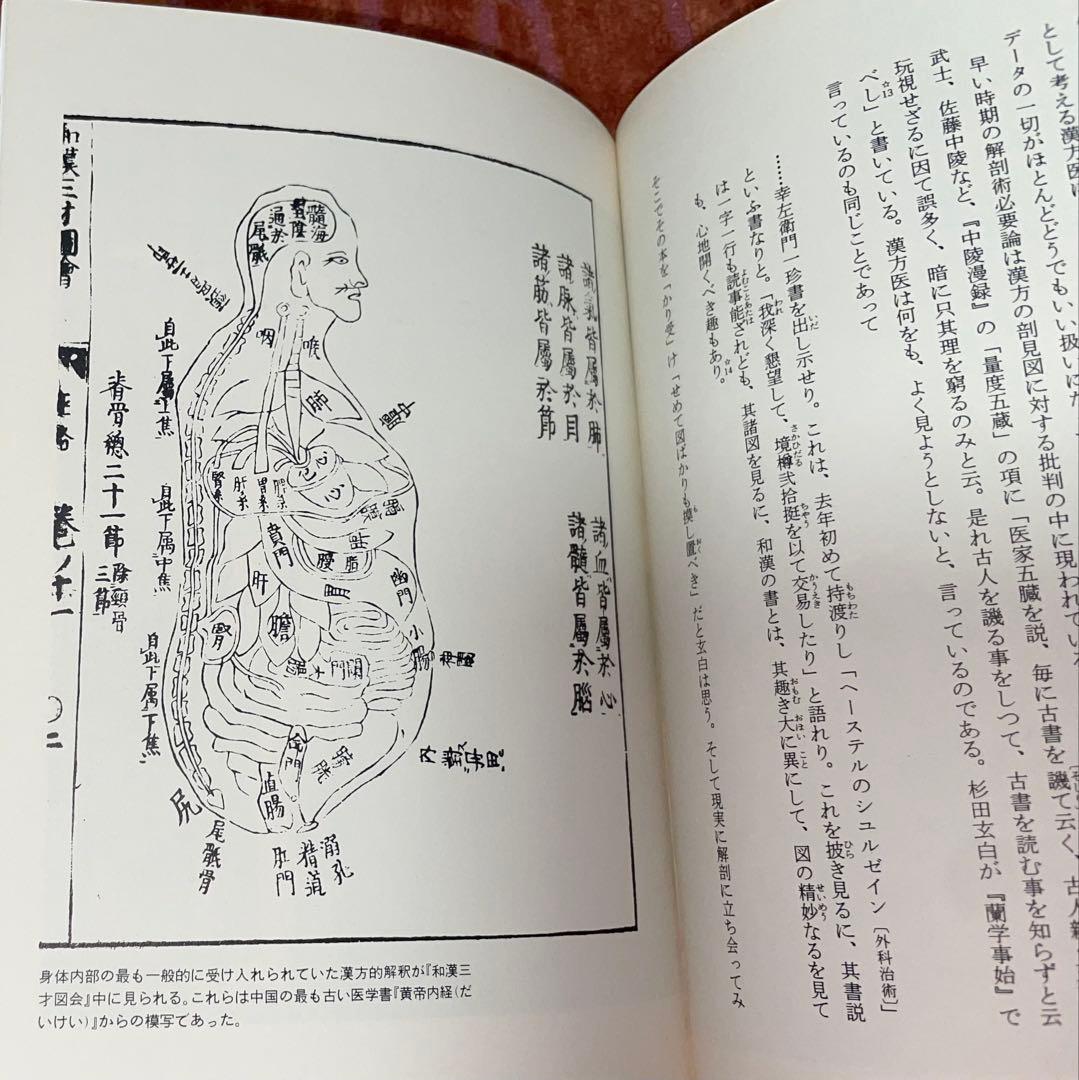江戸の身体を開く