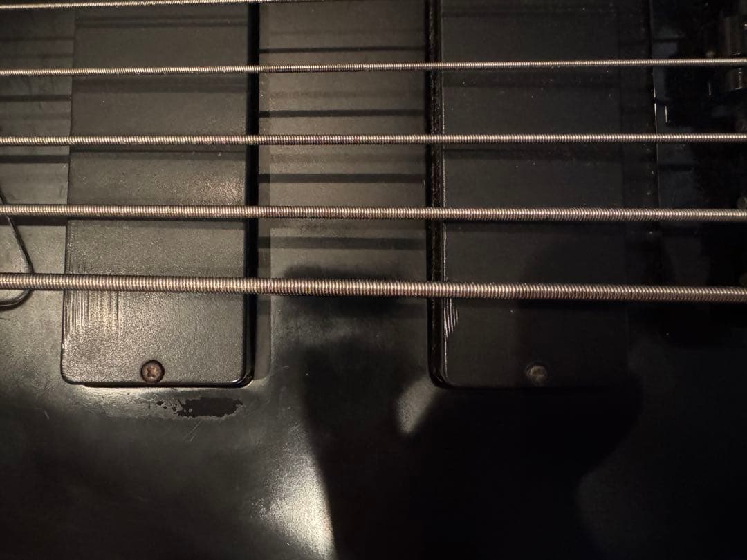沢*耶様 Ibanez signature model fieldy K5-BK