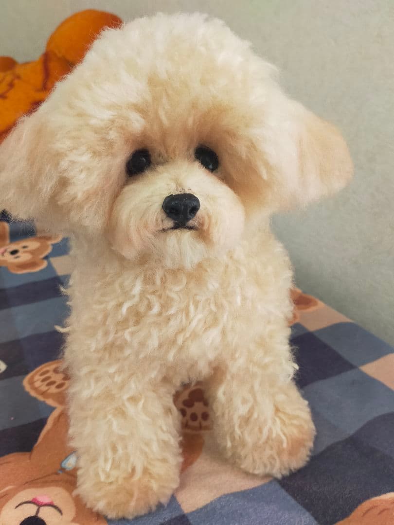 お値下げ！送料込み♡トイプードルアプリコットちゃん♡デカプー♡