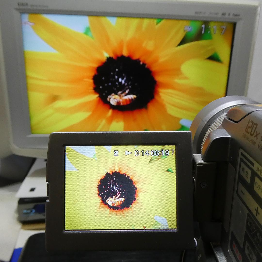 動作品ソニー DCR-PC120 MiniDVビデオカメラ　DVDダビングに最適