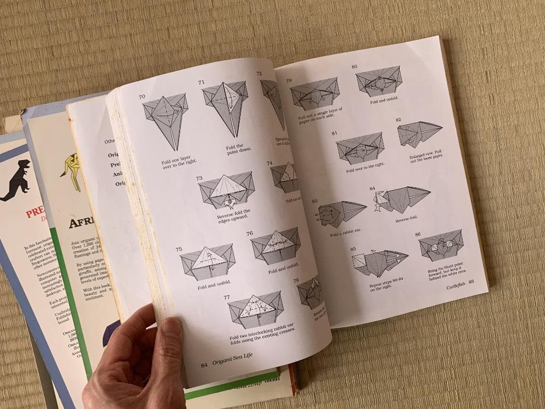 ⭐︎専用⭐︎ジョン・モントロール 折り紙 6冊セット 動物 海