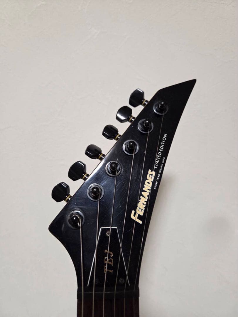 FERNANDES TEJ エレキギター