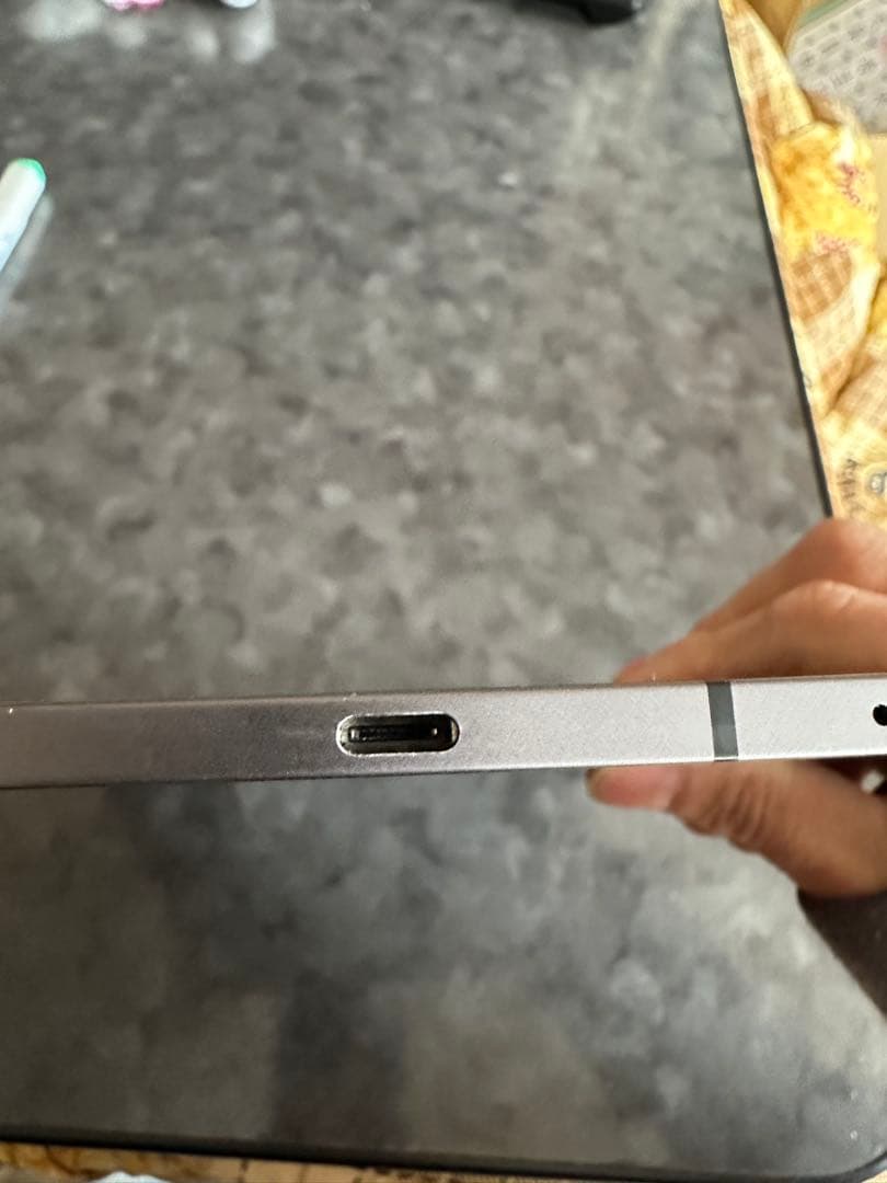 Apple iPad pro11インチ(2世代)256G技術仕様