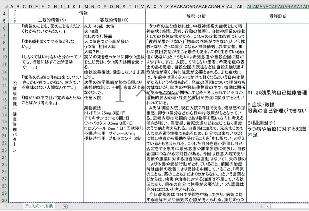 専用 看護実習 看護学生 手順書 関連図 計画 アセスメント