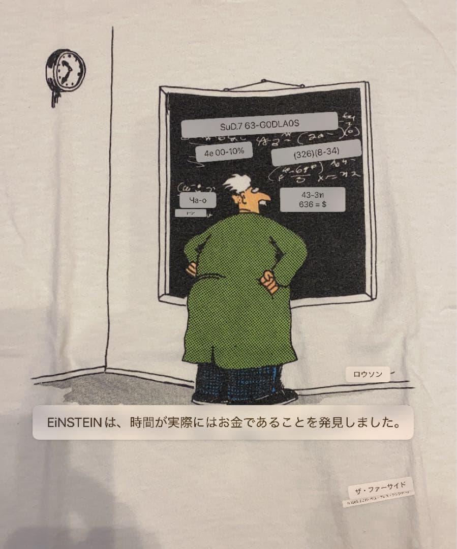 80s USA製 the far side アート　ジョーク　アインシュタイン