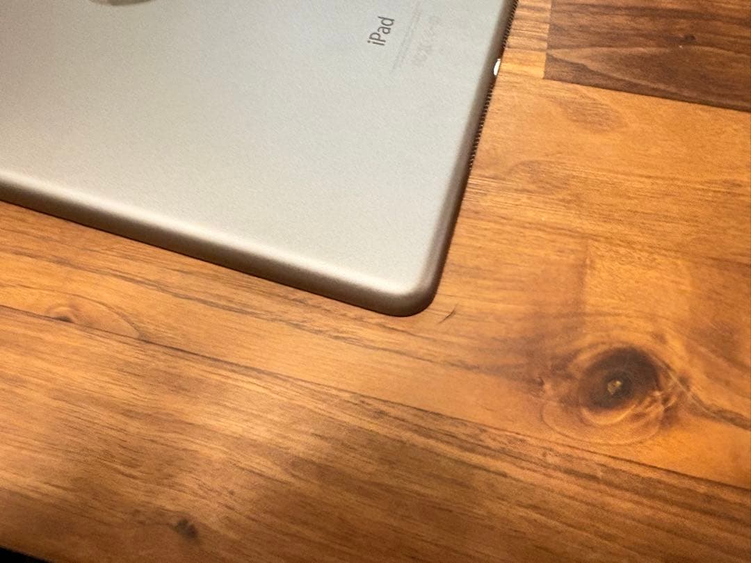 iPad Air2 MGTX2J/A 128GBシルバー 本体とケース