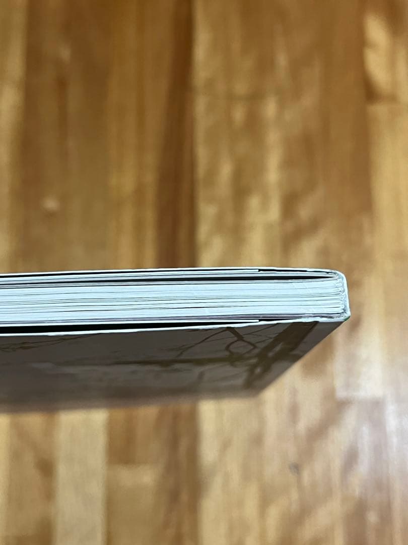 2G No.50 Sou Fujimoto 藤本壮介　建築　雑誌