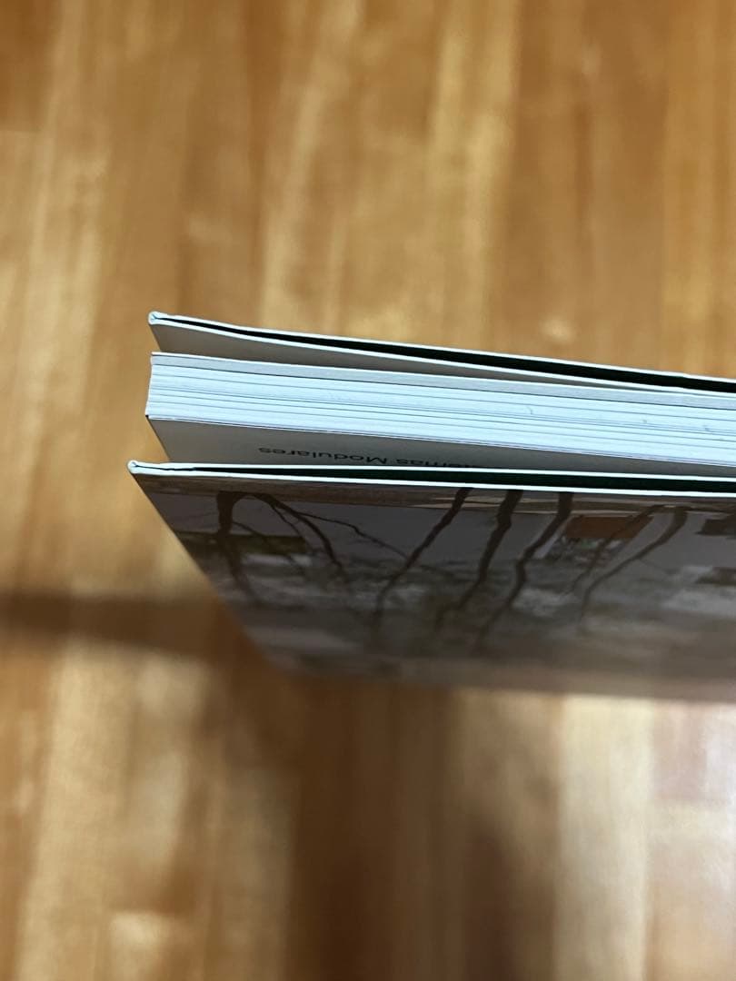 2G No.50 Sou Fujimoto 藤本壮介　建築　雑誌