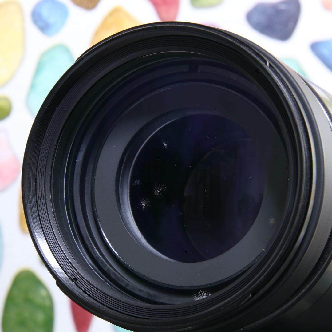♥︎◇400mm 望遠レンズ♪ ◇TAMRON 200-400ｍｍ SONY