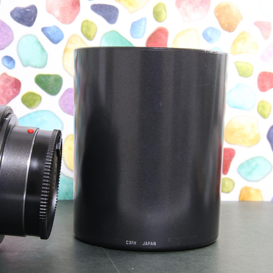 ♥︎◇400mm 望遠レンズ♪ ◇TAMRON 200-400ｍｍ SONY
