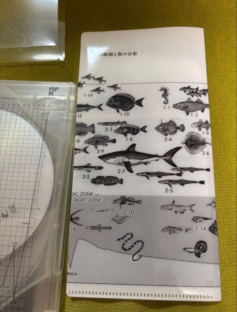 サカナクション　魚図鑑　2CD1DVD チケットホルダー付き