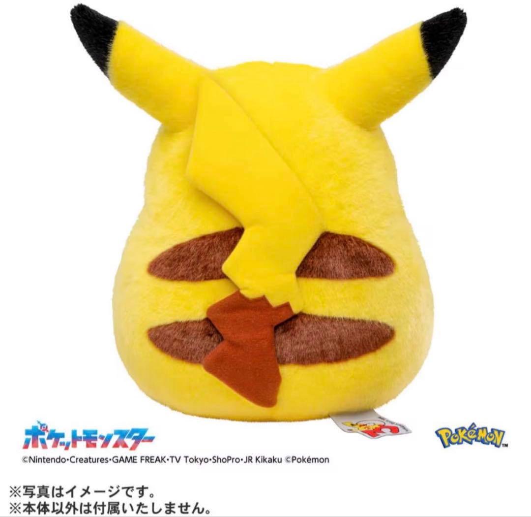 ポケモン30周年記念おかえり!ピカチュウ1/1