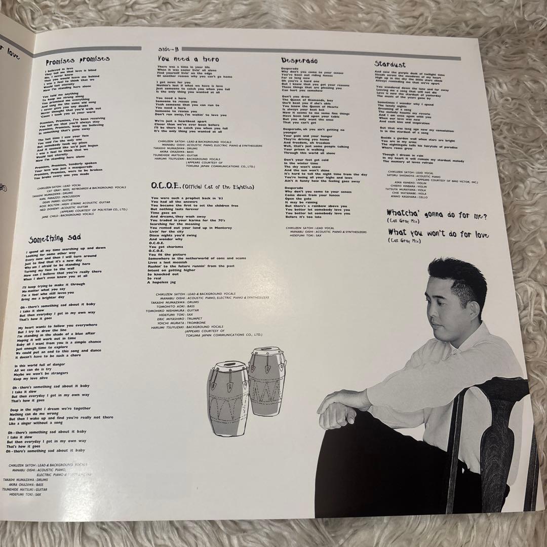 CHIKUZEN SATOH 佐藤竹善CORNER STONES レコード　LP