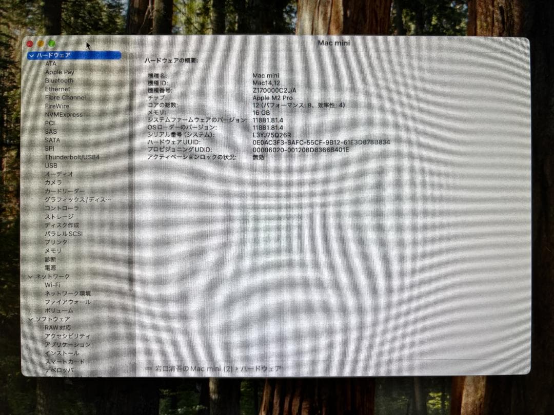 Mac mini M2 Pro（上位12コアCPU）