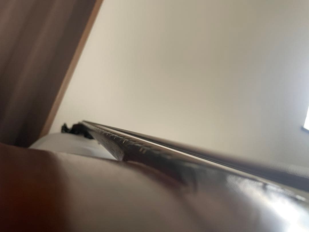 犬ゴット　warwick thumb bass 改造品　一部訳アリ