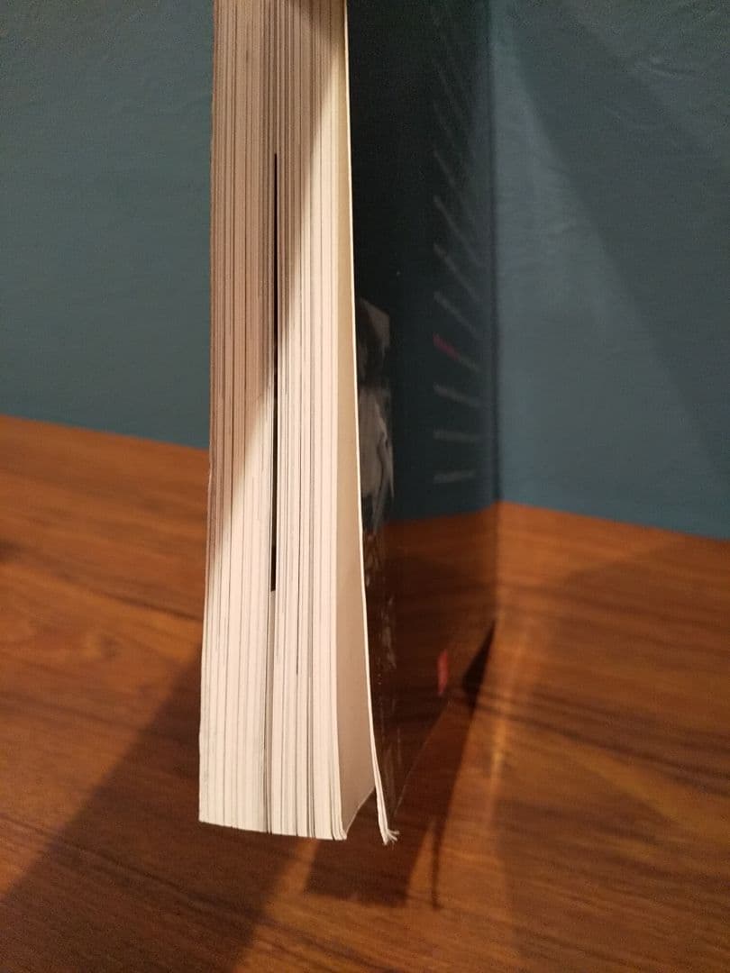〈洋書〉Wir in Hamburg：世界中からの文化的取り組み