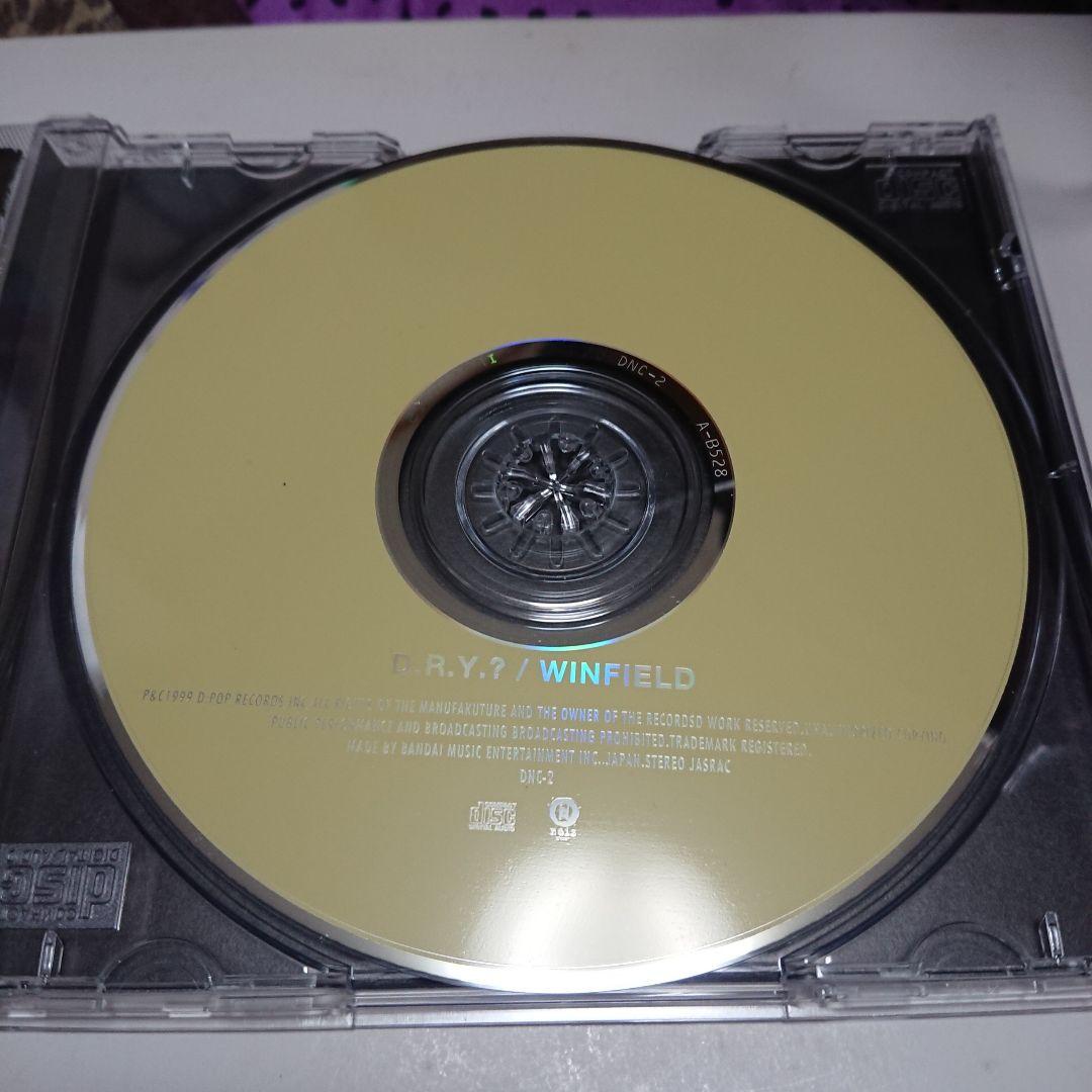 【若井望が在籍したバンド！】WINFIELD ウィンフィールド/D.R.Y.?