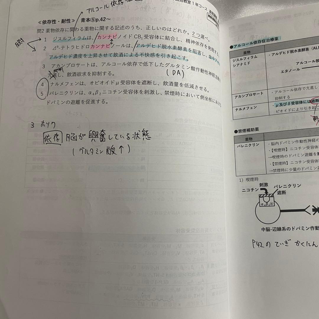 薬ゼミ 111回薬剤師国家試験 直前講座資料 ９教科分