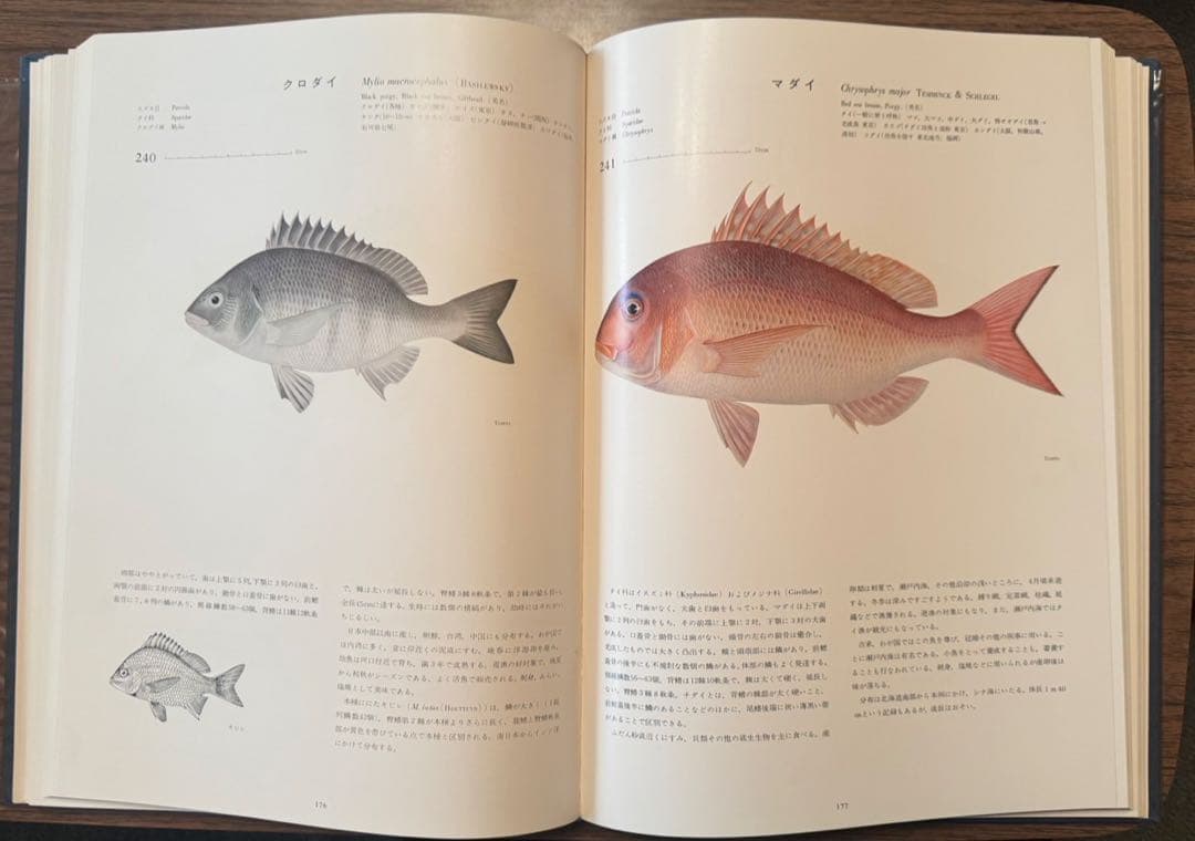 日本産魚類大図鑑JAPANESEFISHES