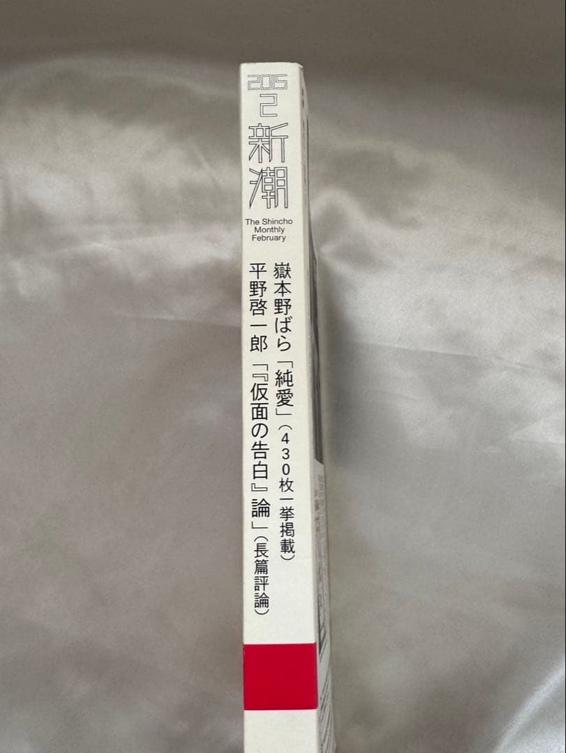 【超希少】新潮2015年2月号 嶽本野ばら 純愛 平野啓一郎 純愛仮面の告白論