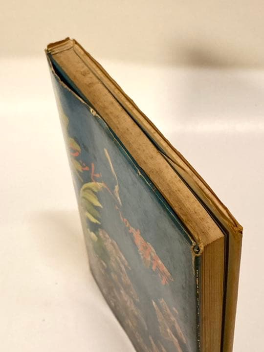 昭和古書　レトロ　※ 【グッピーへの招待】初版本
