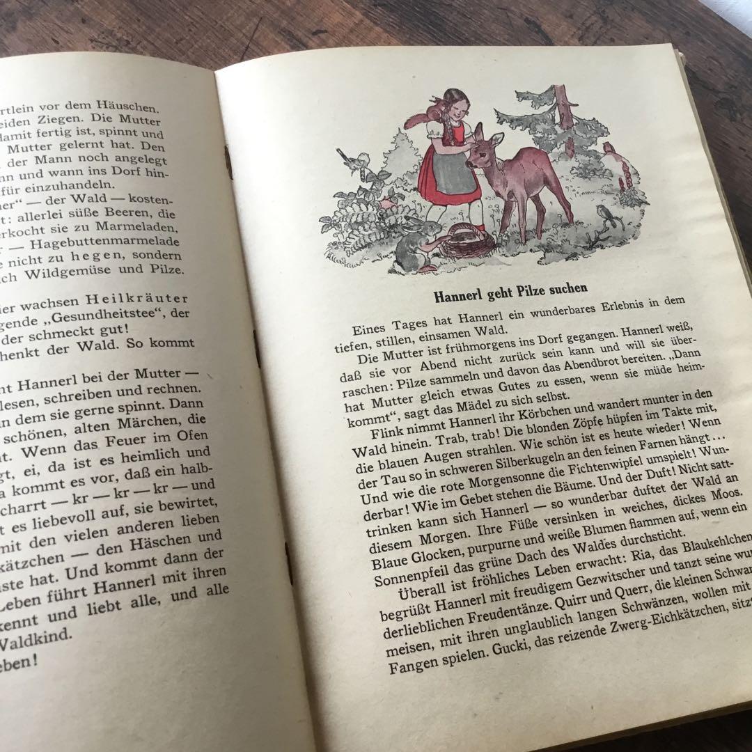 洋書　ドイツ絵本　古書