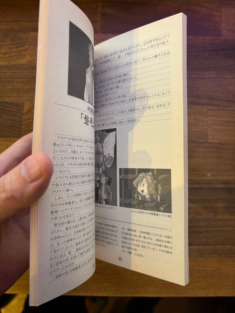 非売品　FAR EAST OF EDEN 研究序説　天外魔境