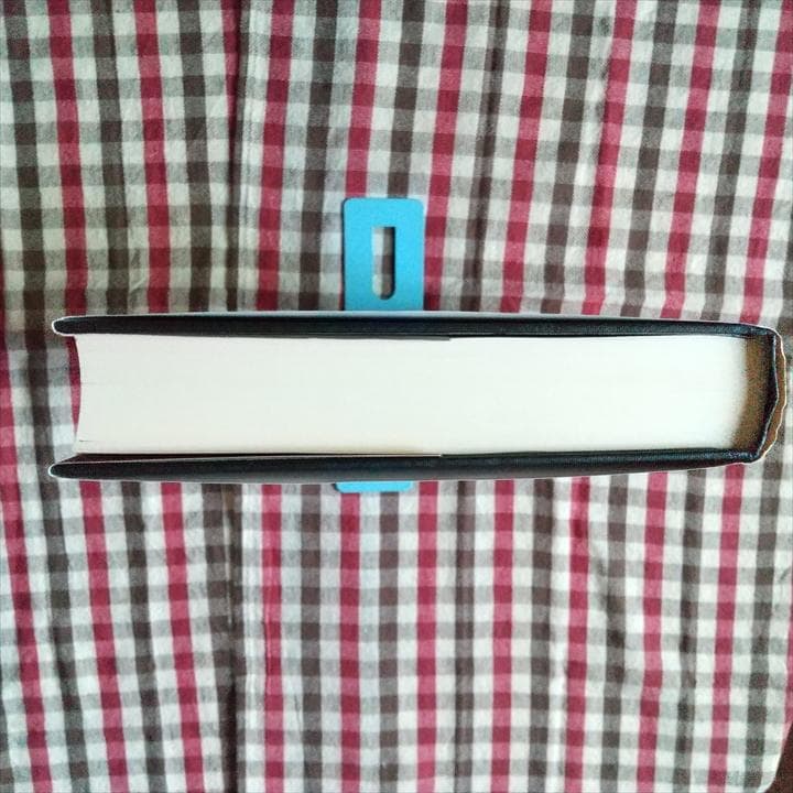 語学・辞書・学習参考書 Quantum Chromodynamics