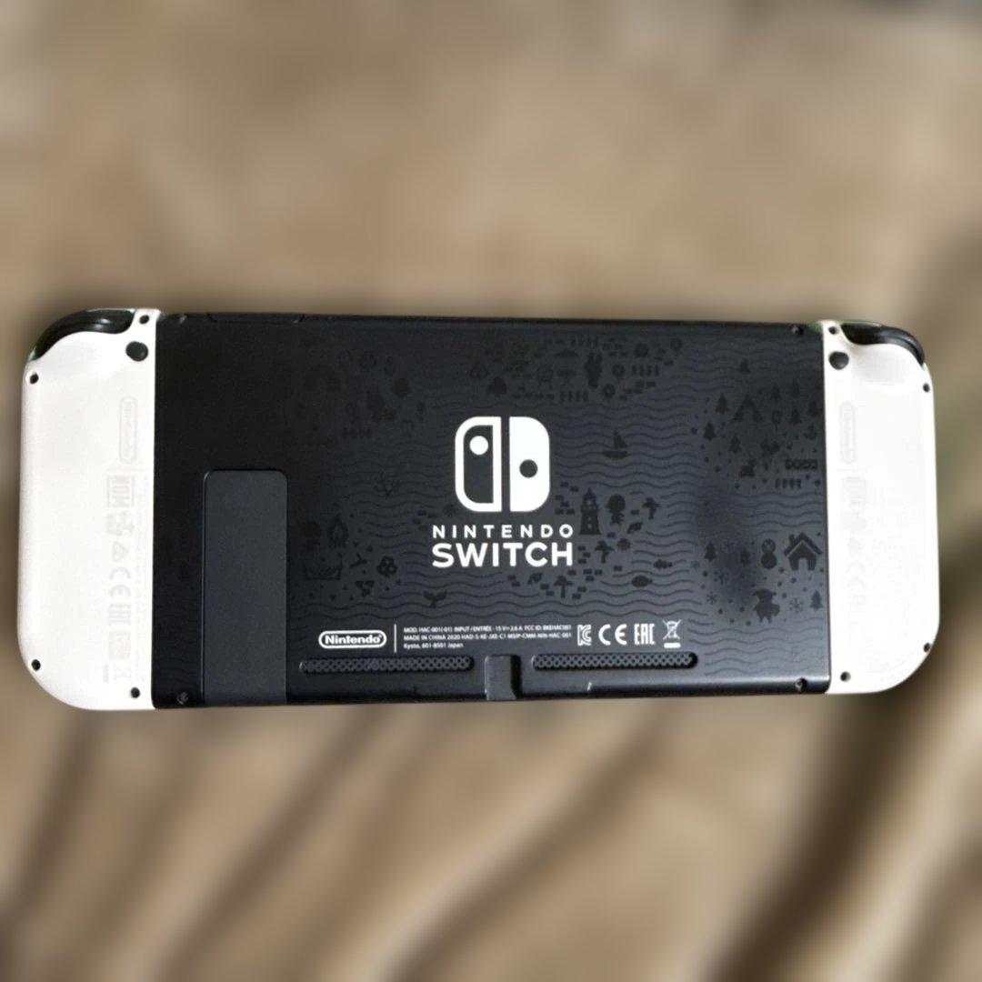 Nintendo Switch あつまれどうぶつの森セット ソフト無し
