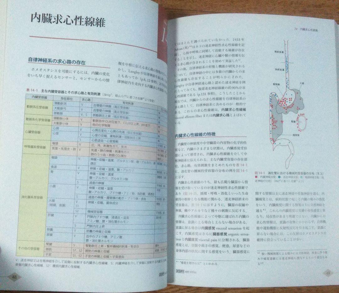 【人気書】やさしい自律神経生理学―命を支える仕組み 鈴木郁子