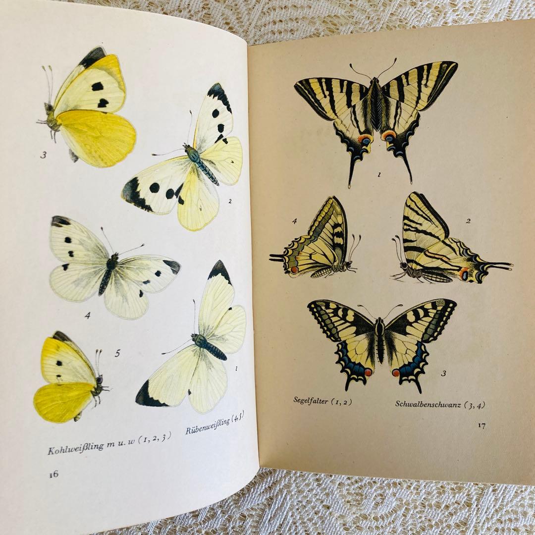 まとめ売り♪　インゼル文庫3点セット　鳥・蝶・木の図鑑　ドイツ古書